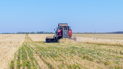 Obraz premium Harvesting equipment in wheat fields