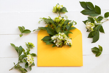 white flower jasmine local flora of asia in yellow envelope arrangement flat lay style on background white