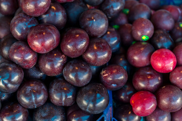 Farm fresh juicy summer plums. Fresh ripe plums placed on table in market. Organic red plums fruit in pile at local farmers market. 