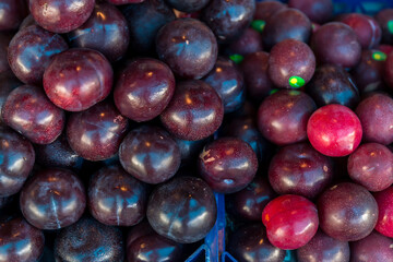 Farm fresh juicy summer plums. Fresh ripe plums placed on table in market. Organic red plums fruit in pile at local farmers market. 