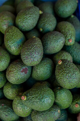 Fresh avocados at local market. Pile of avocado are selling in the fresh market. Green avocado piles of fruit sold on the streets of Thailand.