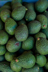 Fresh avocados at local market. Pile of avocado are selling in the fresh market. Green avocado piles of fruit sold on the streets of Thailand.
