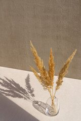 dried flowers in a glass vase on a white and gray concrete background