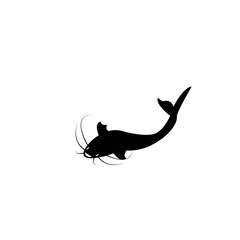 catfish vector