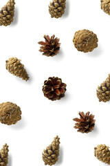 Pine cone Christmas background on white. Pine branches and cones. minimal creative cone arrangement pattern. flat lay, Modern christmas Background.