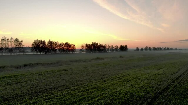 Aerial - Vibrant Sunset over Crops on Agricultural Farm Land, Rising Drone View