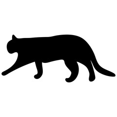 Black silhouette of a cat.