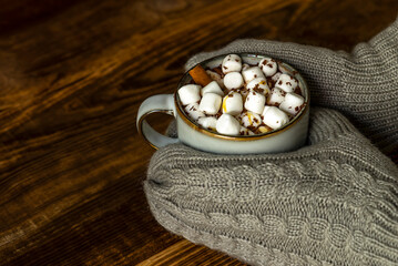 Hands in mittens hold cup of hot cocoa or chocolate with marshmallow.