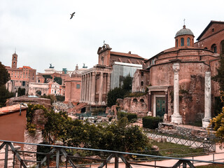 Fototapeta premium Roman Forum, Italy 