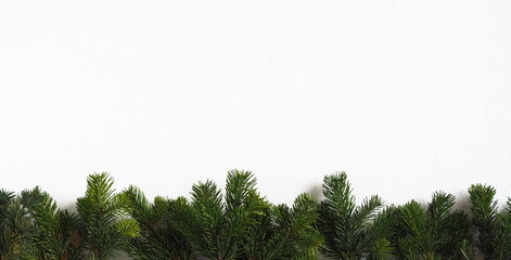 Fototapeta premium Branches of a Christmas tree are lined on a white background. New Year is Christmas background with a place for the text congratulations.