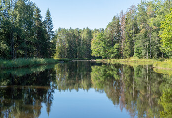 Obraz premium Salmon river area in autumn. Farnebofjarden national park in Sweden.