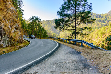 Curvy mountainous road through green forest in  Uttarakhand, India.