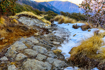 View from stone paved Khalia top hiking trail through alpine meadows of Himalayas in Munsiyari, Uttarakhand. Kumaon Himalayas provides immense opportunity of trekking in Himalayan Forests.