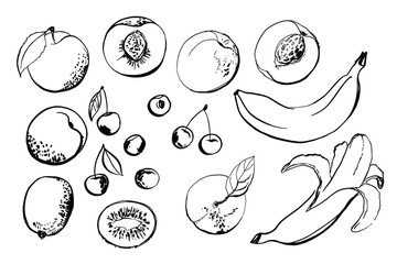 Vector light fruit line watercolor on white background. Peach, kiwi, cherry, banana 