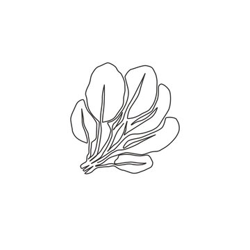 One single line drawing whole healthy organic green spinach leaves for farm logo identity. Fresh plant concept for edible vegetable icon. Modern continuous line draw design vector graphic illustration