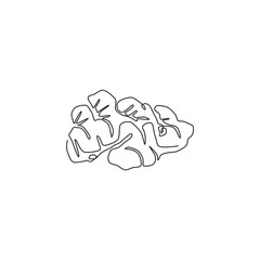 One single line drawing healthy organic ginger for farm logo identity. Fresh flowering plant rhizome concept herbaceous perennial icon. Modern continuous line draw design graphic vector illustration