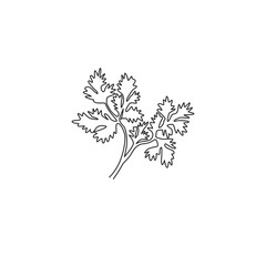 One continuous line drawing of healthy organic coriander leaf for farm logo identity. Fresh Chinese parsley concept for vegetable icon. Modern single line draw design graphic vector illustration