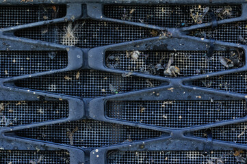 Bugs and flies crashed and stuck in grille of car radiator