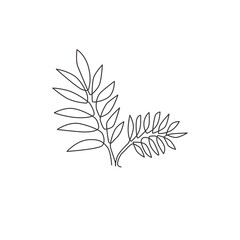 Single continuous line drawing of tropical leaves plant. Printable poster decorative houseplant concept for home wall decor wallpaper ornament. Modern one line draw design graphic vector illustration