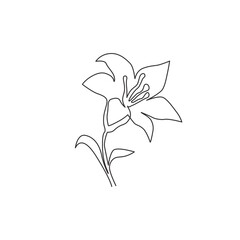 Single continuous line drawing of beauty fresh lilium for home wall decor poster. Printable decorative true lilies flower for greeting card ornament. Modern one line draw design vector illustration