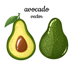 Avocado slices on a white background. Cartoon style, isolated object