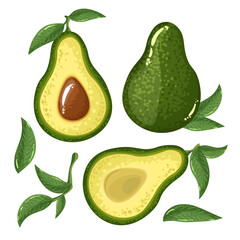 Avocado slices, avocado leaves on white background. Cartoon style, isolated object, set