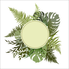 Round frame, card from green fern leaves, palm trees, exotic plants on white background