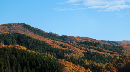 紅葉した山