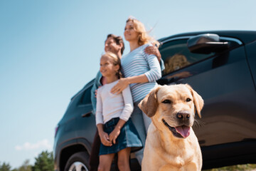 Selective focus of golden retriever near family beside car outdoors
