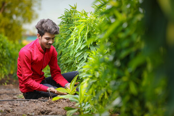 young indian agronomist analyzing field with smartphone