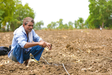 Fototapeta premium young indian farmer at field