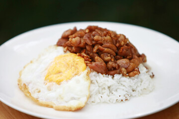 Fried Chicken with Garlic with rice and Fried Egg