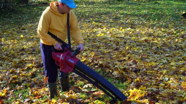 Man with blower machine cleaning backyard from colorful autumn leaves