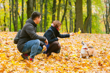 Happy couple playing with Corgi dog in sunny autumn park. Man and woman having fun outdoors with pet.