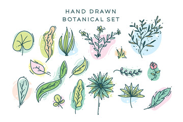 Set of hand drawn botanical elements vector