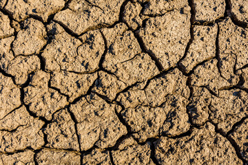 Background of the cracked dry barren soil. Global warming concept