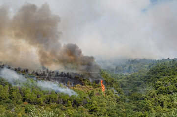 Mountain in south Italy burning, fire fighter trying to limit the spread of the flames.
