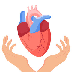 human heart, hands, flat
