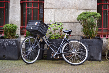 Fototapeta na wymiar The bike is near the house on the street of Amsterdam