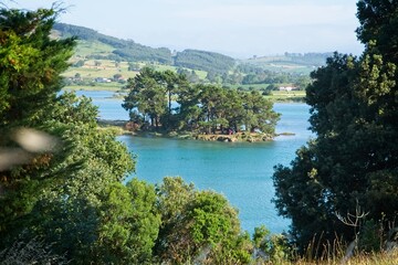 A calm river runs through a grove