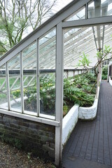 White brick and glass old vintage greenhouse or orangery with open to the Chelsea physic garden door