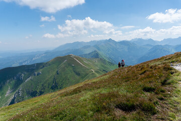 Panoramic view of the Polish Tatra peaks of the mountains during summer morning.