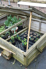 Garden wooden notbed with glass for growing plants in pots
