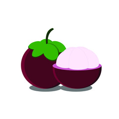Red mangosteen fruit illustration. 1 fruit split to reveal the contents