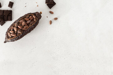 Dark chocolate pieces crushed and cocoa beans in pod on white concrete background. Culinary food background, top view, copy space. Natural chocolate.