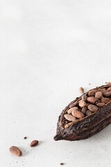 Cocoa pod with cocoa beans on a white concrete background. Organic food. Natural chocolate. Side view. chocolatier, confectionery. Close up, copy space