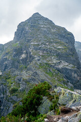 Obraz premium The view of the Koscielec mountain in Tatra mountains in Poland during summer, cloudy morning.