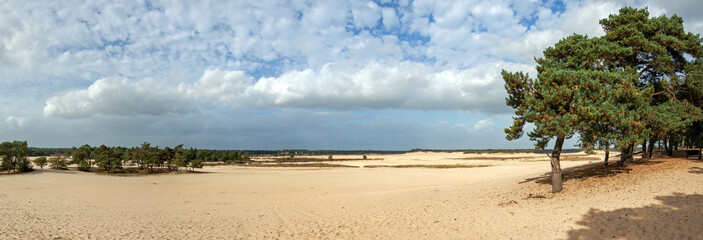 Shifting sand dunes in one of the largest free moving sand dune areas in Western Europe