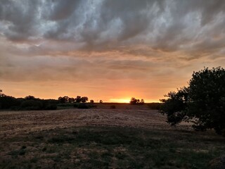sunset over the field