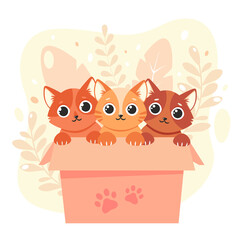 Adopt a pet. Cute kittens in the box. Vector illustration in flat style